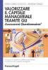 Valorizzare il capitale manageriale tramite gli Assessment Questionnaires. Un approccio semplice ed efficace per valutare il patrimonio delle capacit� manageriali