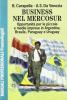 Business nel Mercosur. Opportunit� per le piccole e medie imprese in Argentina, Brasile, Paraguay e Uruguay