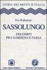 Sassolungo. Dolomiti fra Gardena e Fassa