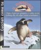 Il pinguino