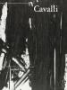 Massimo Cavalli. Dipinti e stampe a Villa dei Cedri