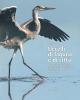 Uccelli di laguna e di citt�. L'atlante ornitologico nel comune di Venezia 2006-2011