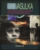 Steina e Woody Vasulka. Video, media e nuove immagini nell'arte contemporanea