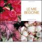 Le mie begonie