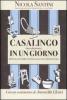 Casalingo (non disperato) in un giorno. Manuale di sopravvivenza alle faccende di casa