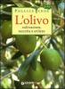 L' olivo. Coltivazione, raccolta e utilizzo