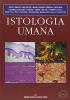 Istologia umana