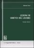 Lezioni di diritto del lavoro