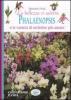 La bellezza ci salver�. Phalaenopsis e le variet� di orchidee pi� amate