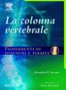 La colonna vertebrale