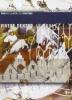 Vivere dentro le mura. Museo della citt� e del territorio citt� di Monsummano Terme