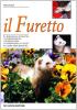 Il furetto