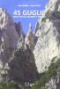 Quarantacinque guglie delle piccole Dolomiti e Pasubio