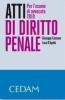 Atti di diritto penale. Per l'esame di avvocato 2010