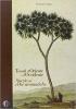 Tesori d'Oriente e d'Occidente. Spezie ed erbe aromatiche