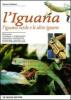 L' iguana. L'iguana verde e le altre iguane