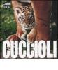 Cuccioli