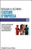 Culture d'impresa. Come affrontare con successo le transizioni e i cambiamenti organizzativi