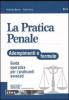 La pratica penale. Adempimenti e formule. Guida operativa per i praticanti avvocati