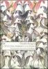 Citt� tra passato e futuro. Un percorso critico sulla via di Biopoli