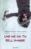 Che ne sai tu dell'amore