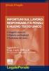 Infortuni sul lavoro: responsabilit� penali e nuovo Testo Unico