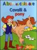 Cavalli & pony