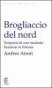 Brogliaccio del nord. Peripezie di uno studente Erasmus in Estonia