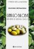 Gingko biloba. Una pianta che riattiva il cervello