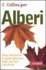 Alberi