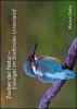 Zauber der Natur. Eisvogel im S�dtiroler Unterland. Ediz. multilingue