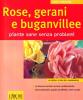 Rose, gerani e buganvillee. Piante sane senza problemi