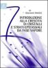Introduzione alla crescita dei cristalli e strati epitassiali da vase vapore