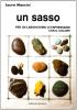 Un sasso. Per un laboratorio di espressione con il colore