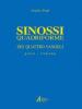 Sinossi quadriforme dei quattro vangeli. Testo greco e italiano