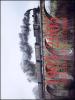 1905-2005. Cento anni di F.S. in Toscana