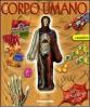 Il corpo umano