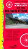 Passi e valli in bicicletta. Alto Adige vol.1