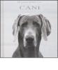 Hanno detto dei cani