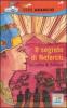 Il segreto di Nefertiti