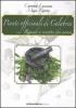 Piante officinali di Calabria. Rimedi e ricette dei nonni