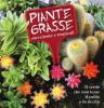 Piante grasse succulente e subtropicali. Il verde che non teme il caldo e la siccit�
