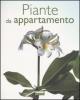 Piante da appartamento