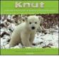 Knut. La storia del piccolo orso polare che ha tenuto il mondo con il fiato sospeso