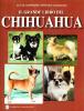 Il grande libro del chihuahua