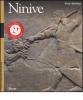 Ninive