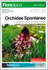 Orchidee spontanee. Cartoguida