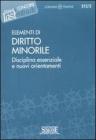 Elementi di diritto minorile. Disciplina essenziale e nuovi orientamenti. eBook