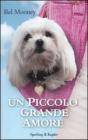 Un piccolo grande amore. eBook