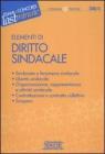 Elementi di diritto sindacale. eBook